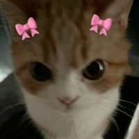 salcalikofte (@dimdimdirin) 's Twitter Profile