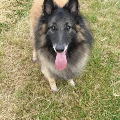 HStaniforth2's profile picture. 