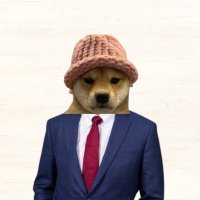 Starkylo (@starkylo2) 's Twitter Profile