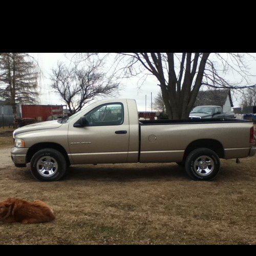 sam_ransom's profile picture. 