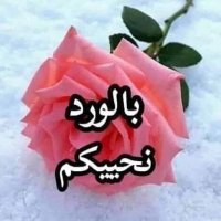 السيد المصري (@lsydlmry1782466) 's Twitter Profile