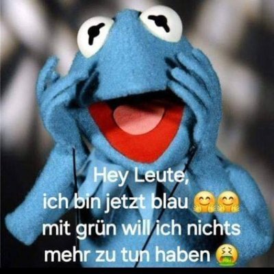 Meme Maxi
6529 / Book of Meme / Memeland