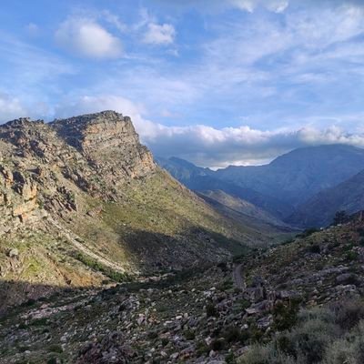 SdDiggins's profile picture. I tweet my interest and certain things that catches my eye  !!