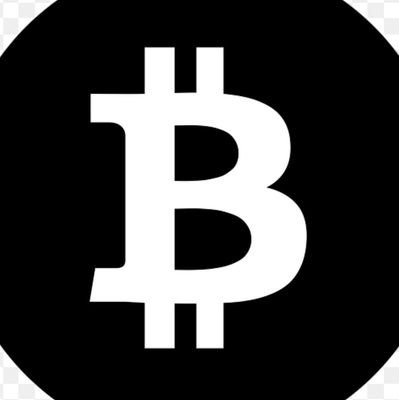 Bitnetsatoshi's profile picture. Just online