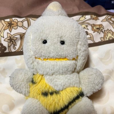 いっちゃん🥷さんのプロフィール画像