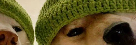 unliks__'s profile picture. Just a guy who loves art