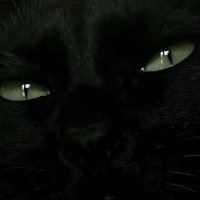 Sonya⚡️🍏（🔁🙅‍♀️） (@sonya_2777) 's Twitter Profile Photo