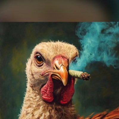 Bigdigits001's profile picture. cool guy