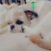 N (@ryuu05220) Twitter profile photo N (@ryuu05220) Twitter profile photo