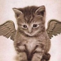 🦒Dj.Girin.NFT (@nft_dj52783) 's Twitter Profile