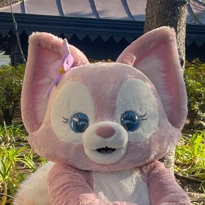 ほっしーのディズニー垢 2025/2/26🌋3/2🏰3月中旬上海