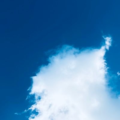 aShe_blog's profile picture. 高校生 日常をつづる闘病垢 #機能性ディスペプシア #自律神経失調症