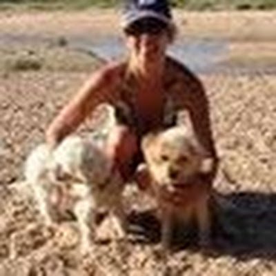 Anabast73962239's profile picture. 