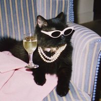 ๐ฃ ํผ์น (@sincerelyhateu) 's Twitter Profile