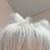 도볼 Profile picture