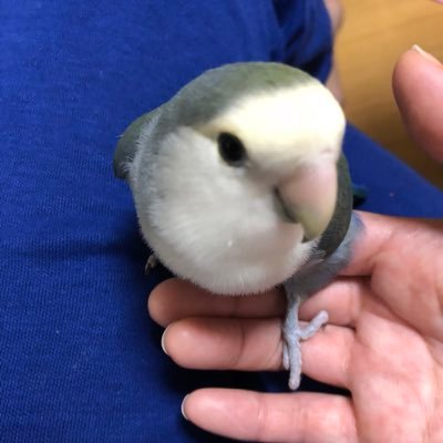 flowflow_666's profile picture. デイトレ始めたので記録してしています。