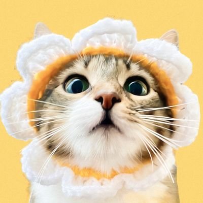 Nasikuxning's profile picture. 