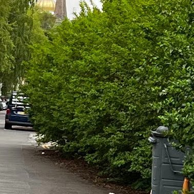 davseeking's profile picture. .