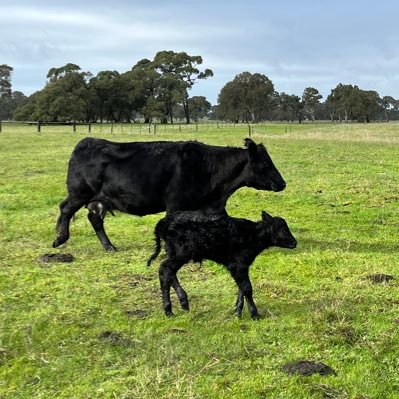 Natflaps49's profile picture. Easy going, try to have fun, don’t let anyone let me down