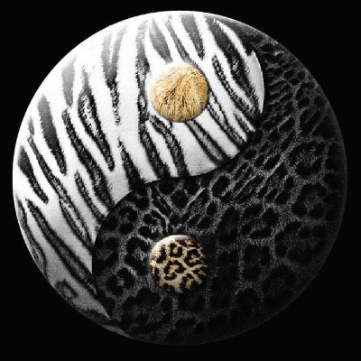 Patrick08200's profile picture. 