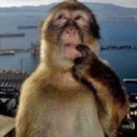 ๐ฎ๐ข๐ณ๐ช๐ค๐ฆ๐ญ๐ช (@maricelimcc) 's Twitter Profile
