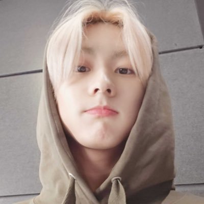 president of the sunwon lovers association @sunwonsource | read carrd guidelines