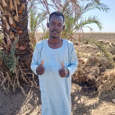 MualemSaeed's profile picture. 