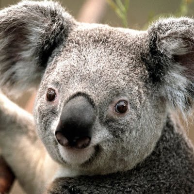 lammy_ud7's profile picture. 