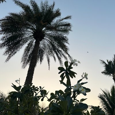 Johamburg123456's profile picture. seeking generational truth