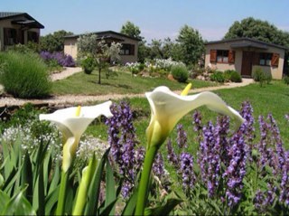 Almadelquijote's profile picture. 