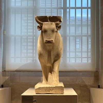 Sunwatcher58745's profile picture. 