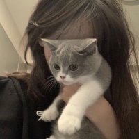 π΄ππ (@ydi__3) 's Twitter Profile