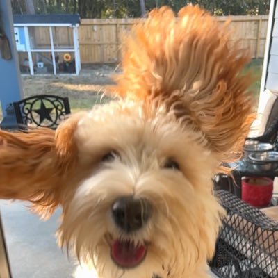 DianneParsons20's profile picture. 