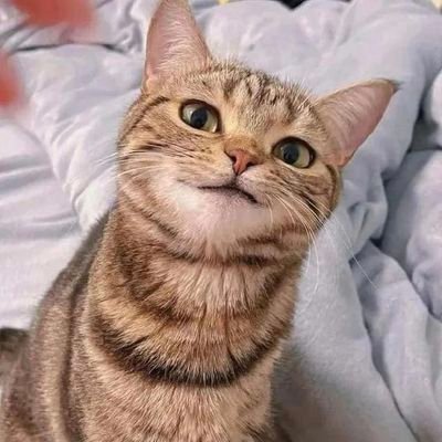 AnderwAron26668's profile picture. 