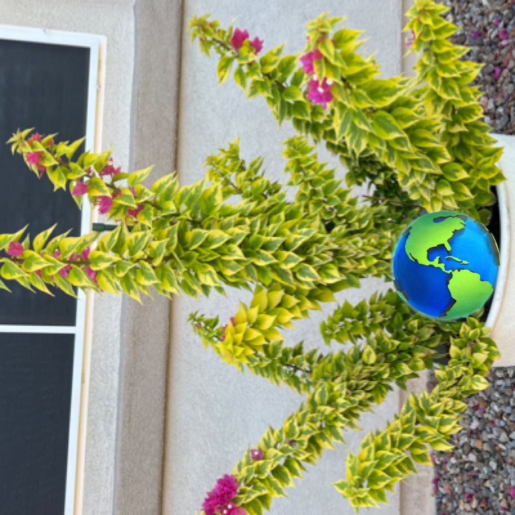 1922Loveamerica's profile picture. 