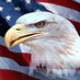 Love America (@rigglestark) Twitter profile photo Love America (@rigglestark) Twitter profile photo