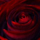 ashley orton - @Rko564 - Twitter