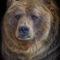 Fitzy (@mzfitzie) 's Twitter Profile