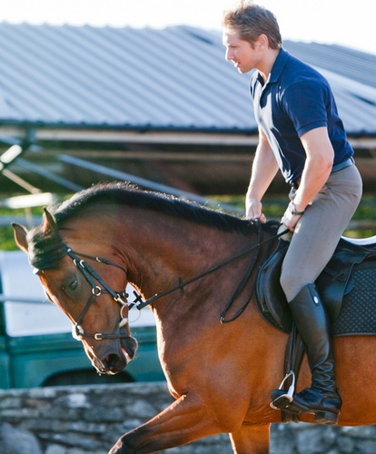 hejumpshorses's profile picture. My huge ❤️is open for meets and talks. Don’t be shy 🙈 Text me on my OF⤵️