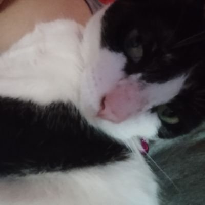 🎶Y que será de mí hoy que todo acabó
Si ya me acostumbré a vivir para ti...🎶
🏴☠️
✿main account suspendida✿
✧2da cuenta✧