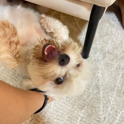 reginaroucq's profile picture. In This World.. / n sou de fazer sou de falar