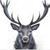 khaled loda (@hananlodaa) Twitter profile photo khaled loda (@hananlodaa) Twitter profile photo