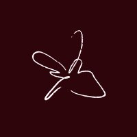 ؘ (@wheefolder) 's Twitter Profile