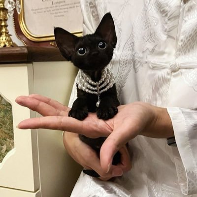 iam_werd's profile picture. I am many things.