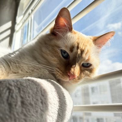 Arryさんのプロフィール画像