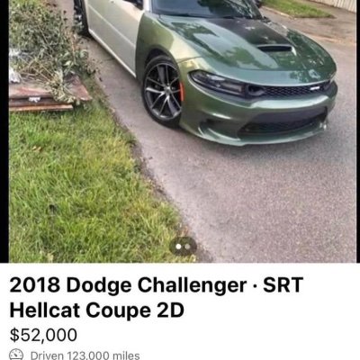 Shey82956957577's profile picture. 