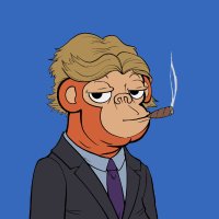 Zenza (@zenzaf1) 's Twitter Profile Photo