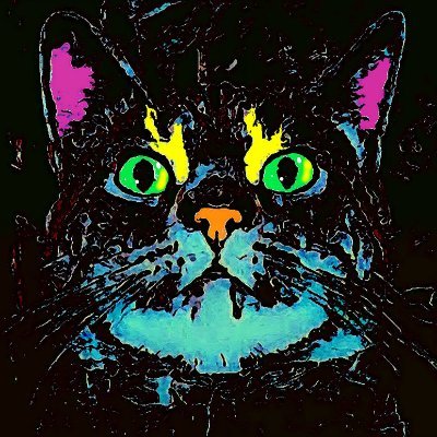 holma53592's profile picture. 