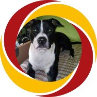 Luis (@luis_271158) 's Twitter Profile Photo