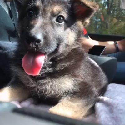 Beejay04306153's profile picture. 